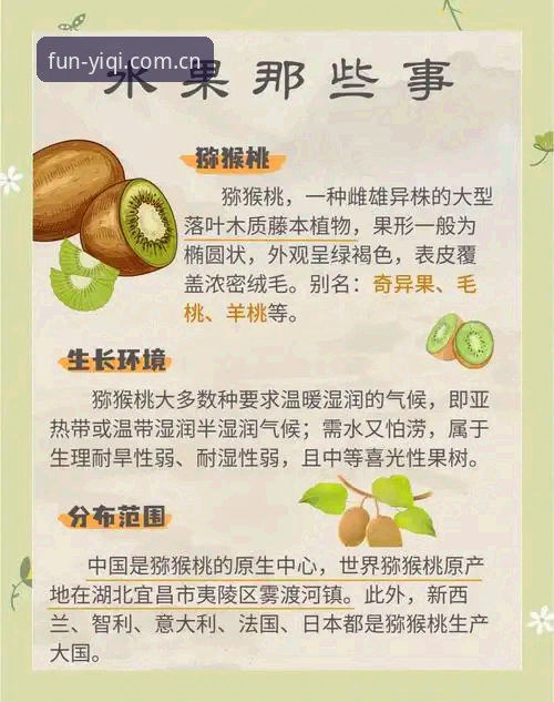 深度揭秘奇异果YIQI使用教程：从入门到精通的完整指南